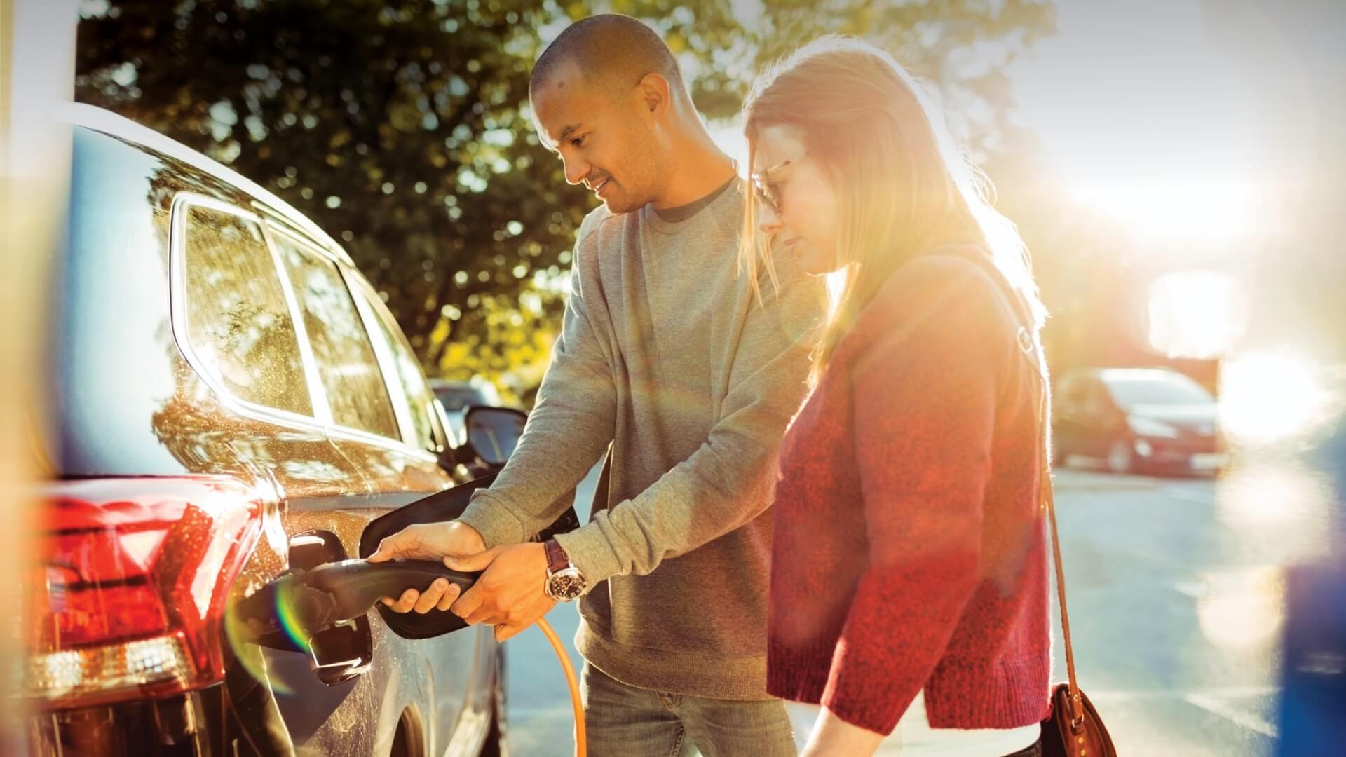 Our Green Lease is up and running!