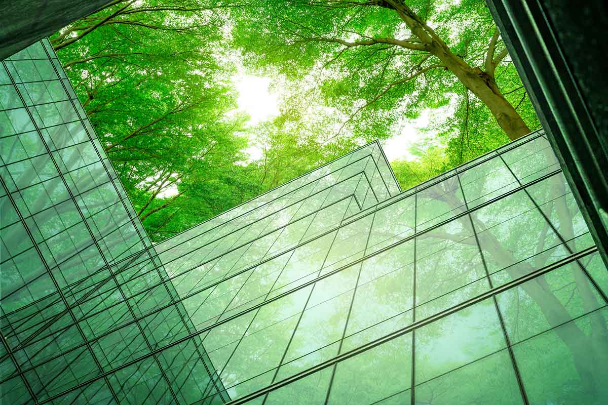 Driving energy-conscious sustainable investment underpinned by a pan-African presence