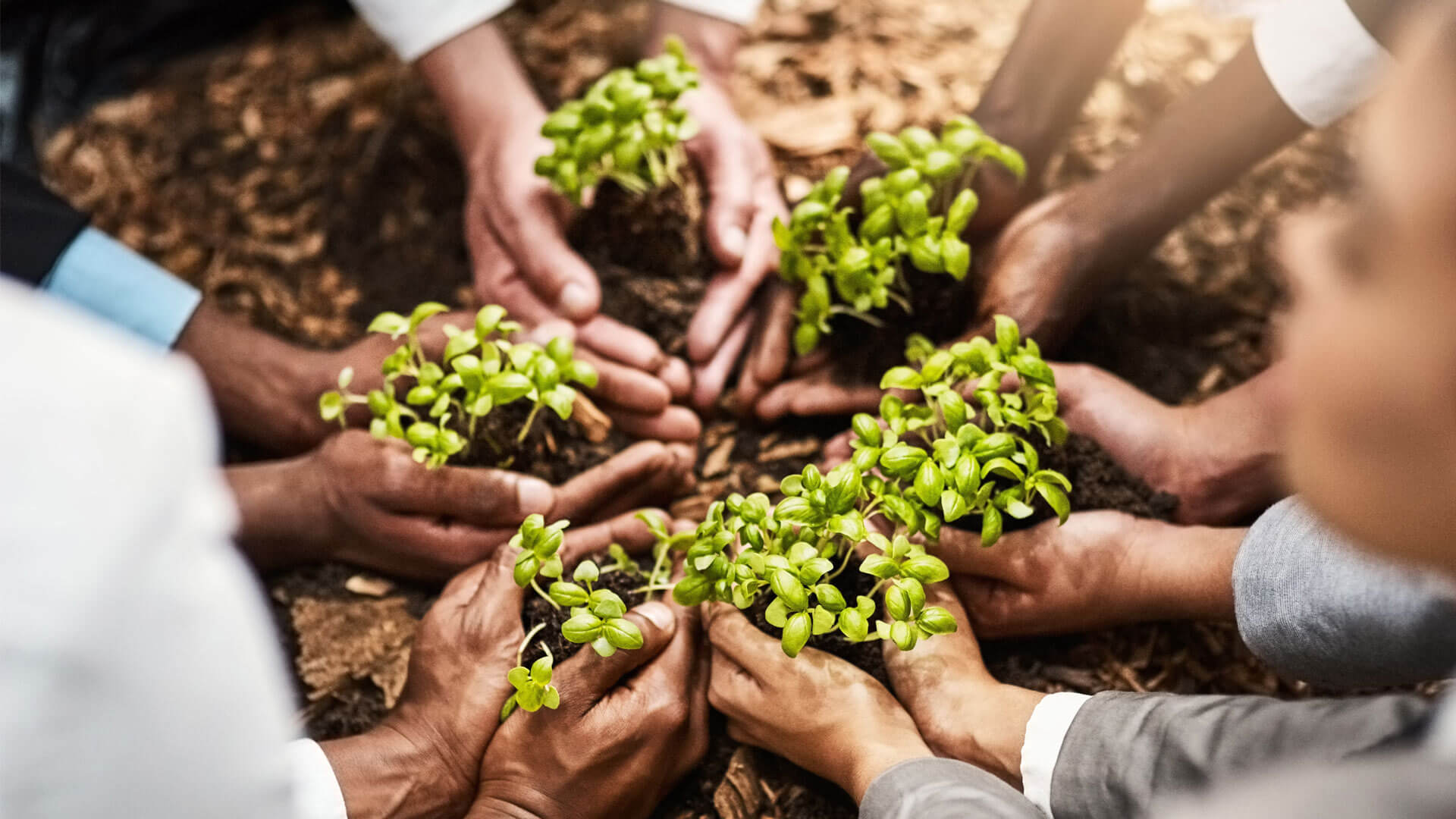 Finance and Sustainability