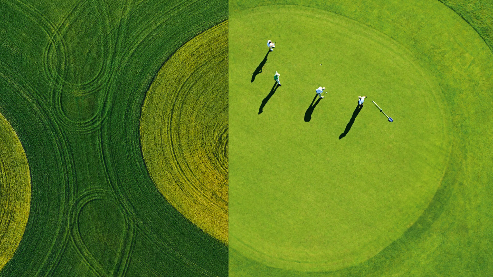 Global Private banking