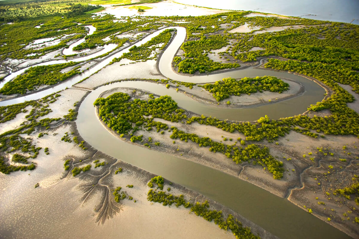 Livelihoods in Senegal TH!NK