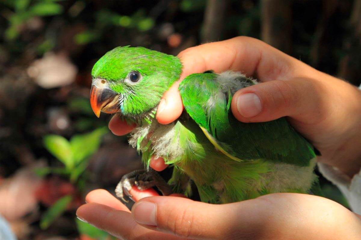 Natir is Beautiful TH!NK