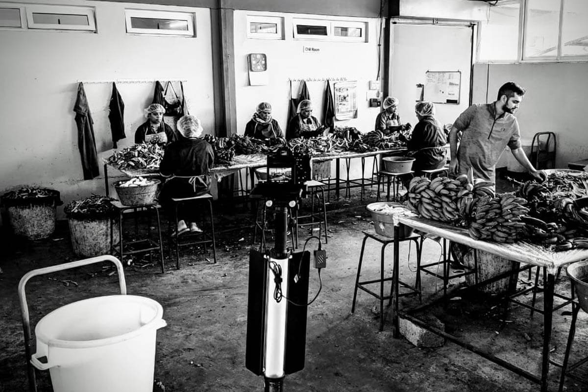 SME Lokal illustration for TH!NK