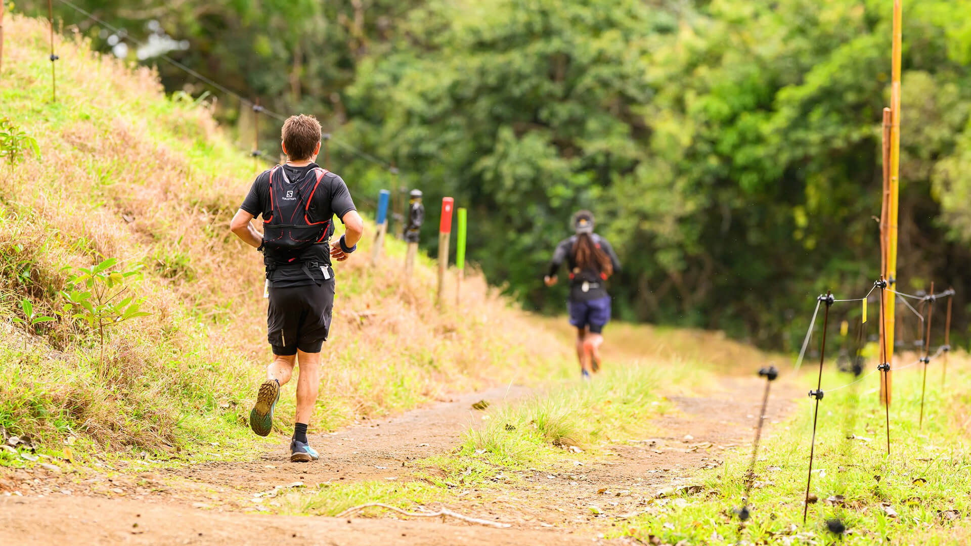 Trail, runners on trail paths
